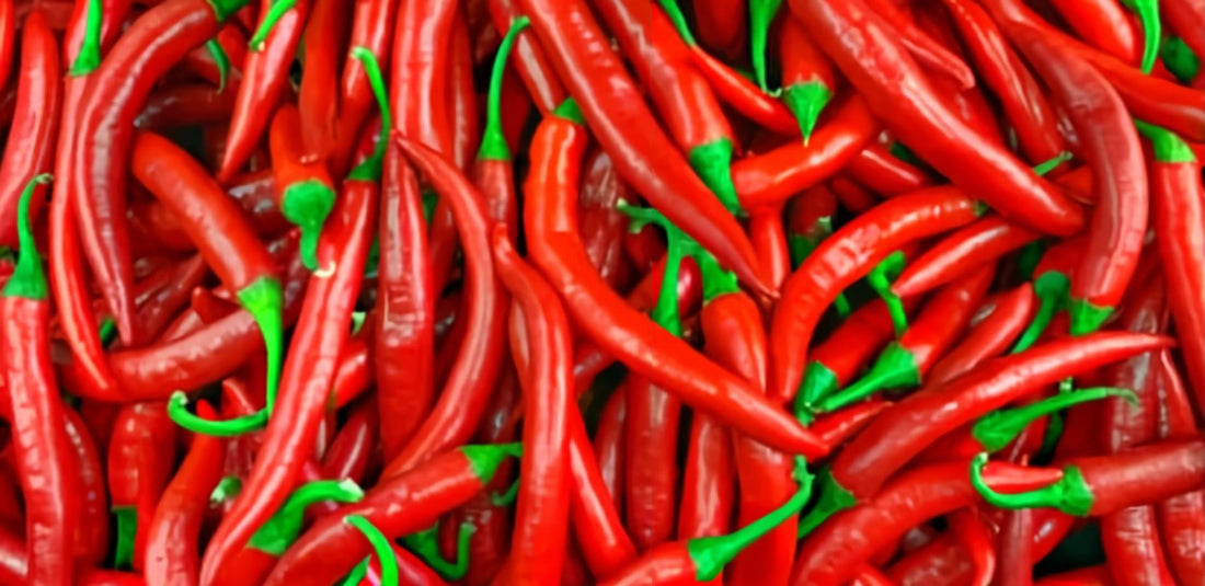 Group of chili peppers Blog Image